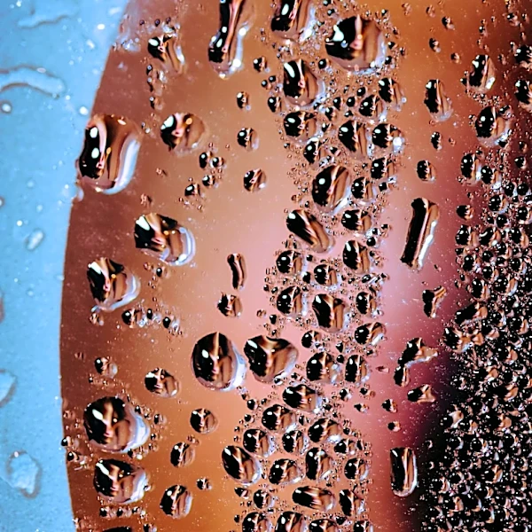 What Is the Dew Point and How Does It Affect You?