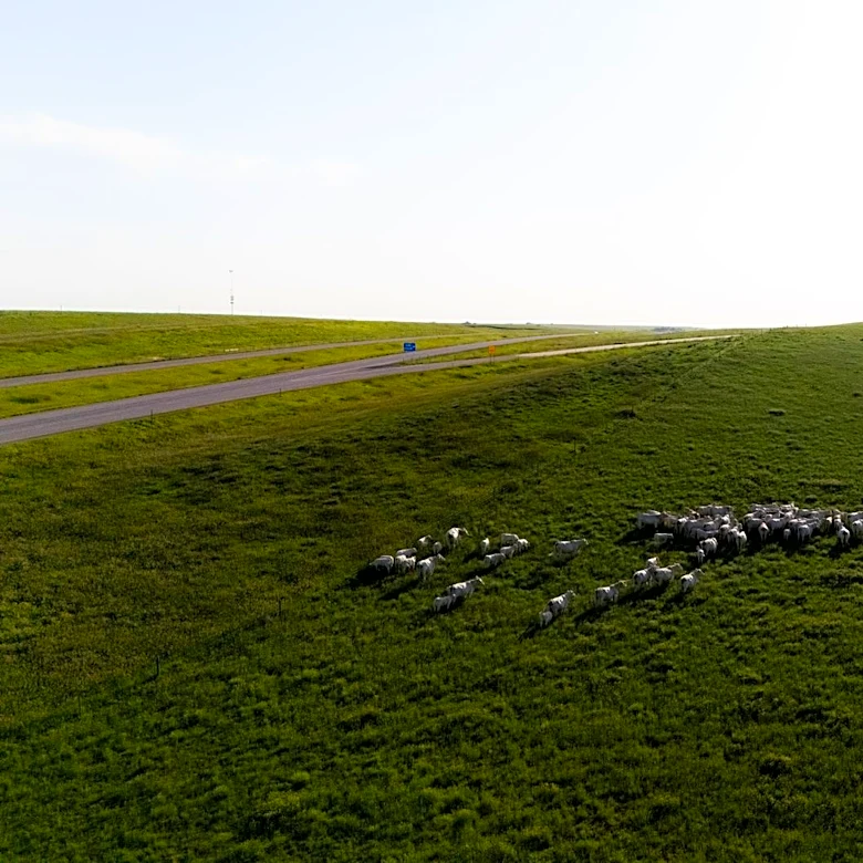 South Dakota Agriculture Struggles Amid Severe Heatwave