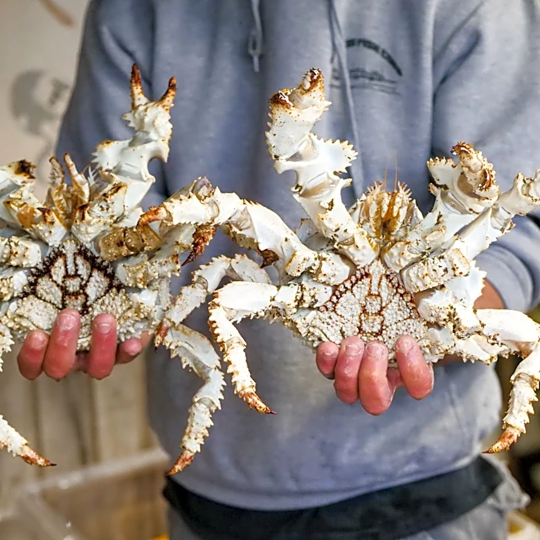 Record-breaking El Niño Threatens California's Fishing Industry