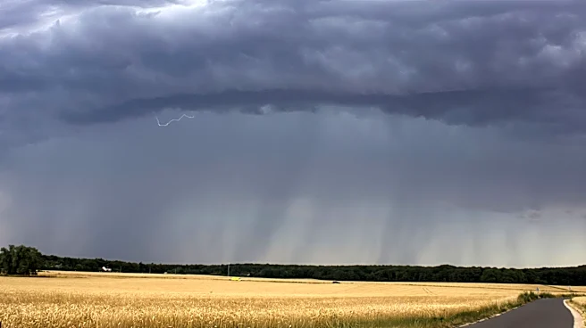 Extreme Heat in Memphis to Ease as Rain Showers Arrive