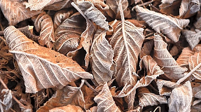 Fall 2026 Weather Outlook: Warm Interior, Cooler Coasts, and Drier Conditions