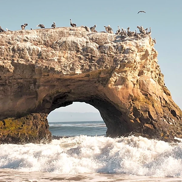 Powerful Waves Trigger Dramatic Rescue in Santa Cruz, California
