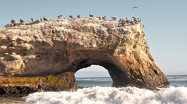 Powerful Waves Trigger Dramatic Rescue in Santa Cruz, California