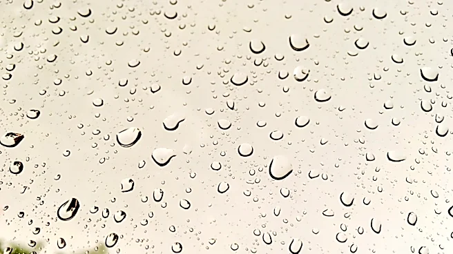 Georgia Experiences Calm Weather Following Severe Storms