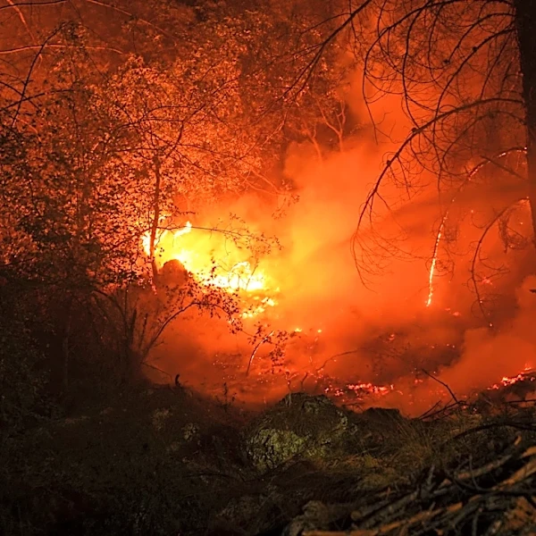 Climate Extremes Intensify, Surpassing Historical Records
