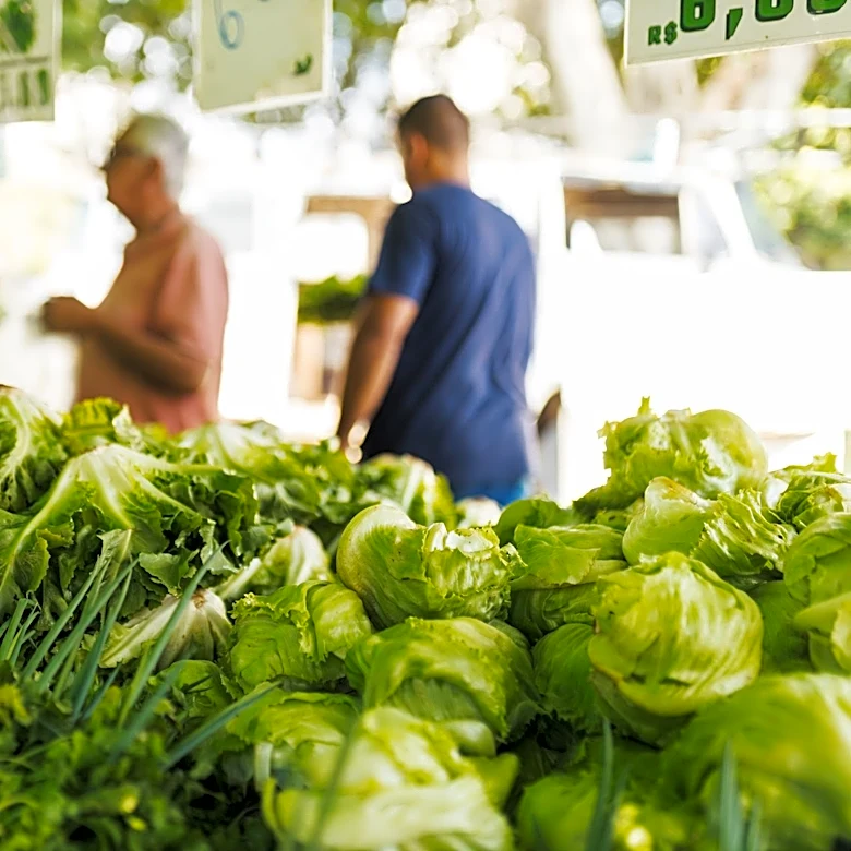 Hot Weather in Arizona Drives Lettuce Price Surge and Cyclospora Outbreak