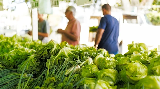 Hot Weather in Arizona Drives Lettuce Price Surge and Cyclospora Outbreak