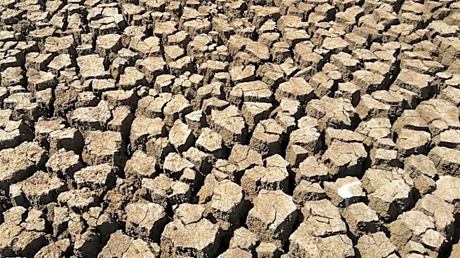 July Rainfall Eases Drought in DC Region, But Challenges Persist