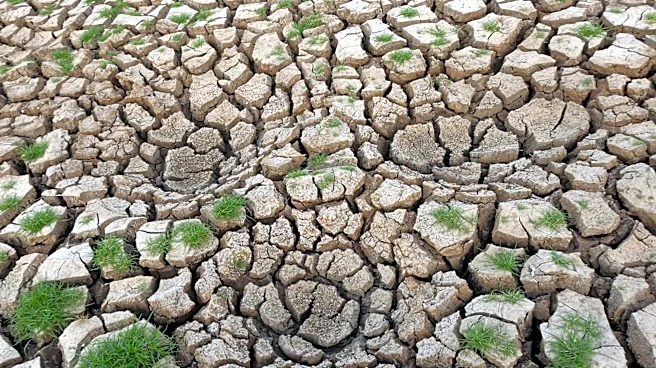 Super El Niño Intensifies, Poised to Reshape Global Weather Patterns