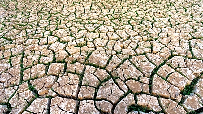 Global Heat Waves Intensify Amid El Niño and Climate Change