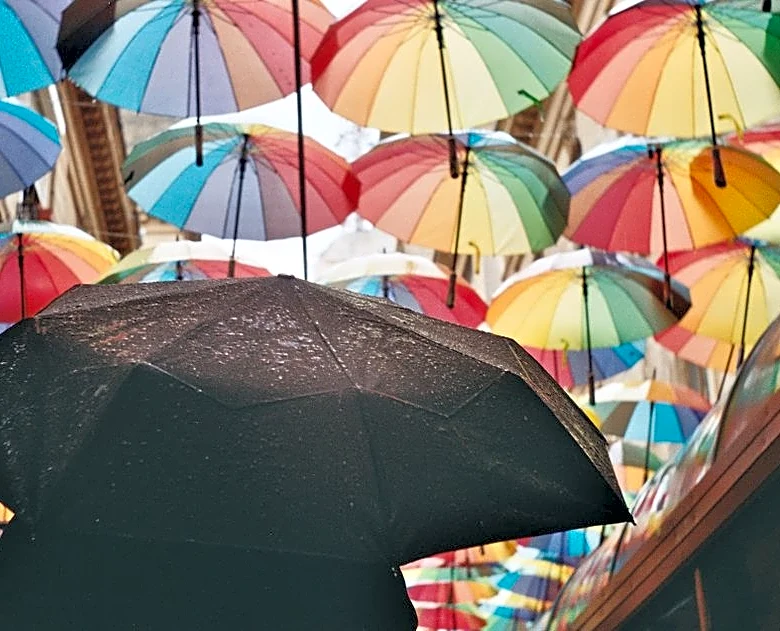 Storms May Soak Lollapalooza as Rain Targets Chicago