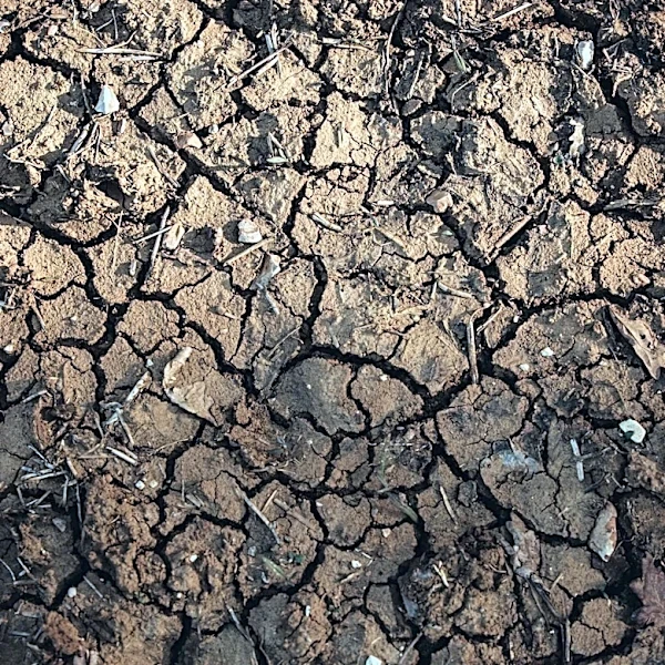 Drought Conditions Worsen Along Maine's Coastline