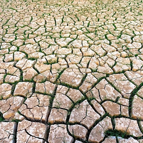 Global Heat Wave Intensifies, Driven by El Niño and Climate Change