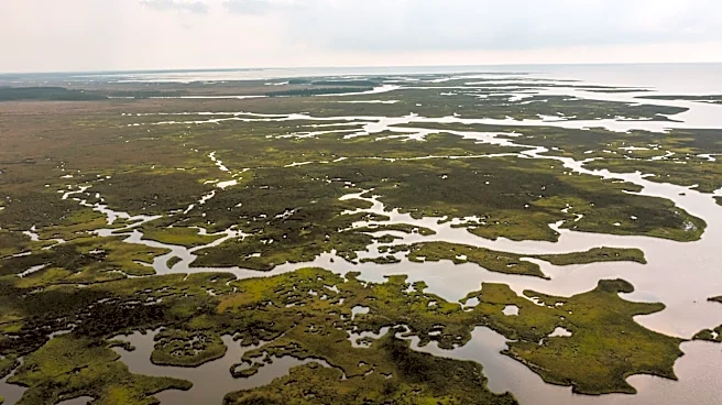 Mississippi River Delta Captured in Stunning Radar Imagery