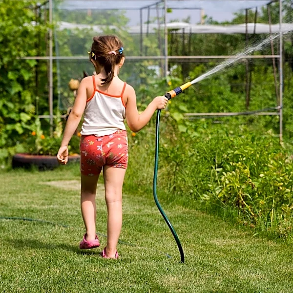 How Dry Weather Affects Summer Conditions