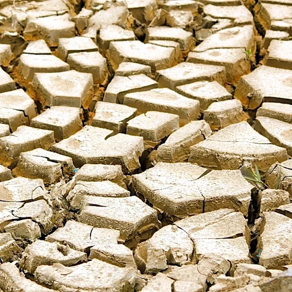 Understanding El Niño: How It Impacts Weather Patterns and What to Expect