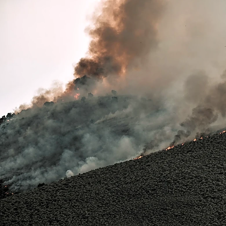 Wildfire Smoke Causes Severe Air Quality Issues Across U.S. Metro Areas