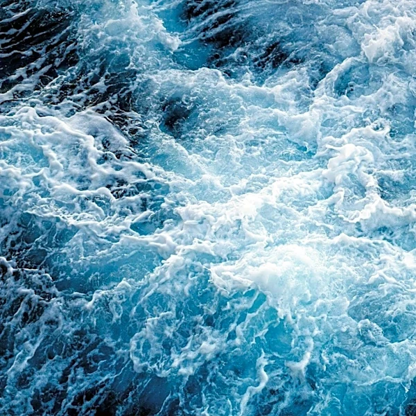 Understanding El Niño: How It Impacts Oceans and Marine Life