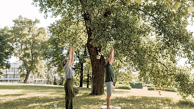 How to Incorporate Nature into Your Daily Routine for Better Mental Health