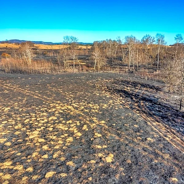 Prescribed Burn Planned at Savannas Preserve State Park in Florida