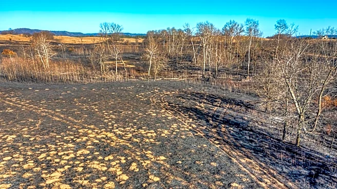 Prescribed Burn Planned at Savannas Preserve State Park in Florida