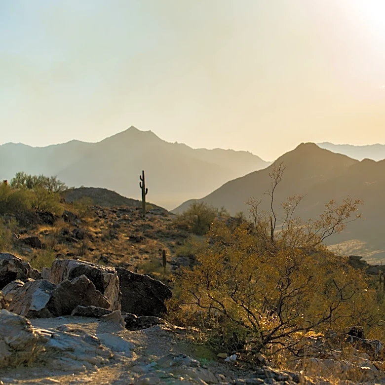 Southwest Heat Wave to Bring Temperatures Above 115°F