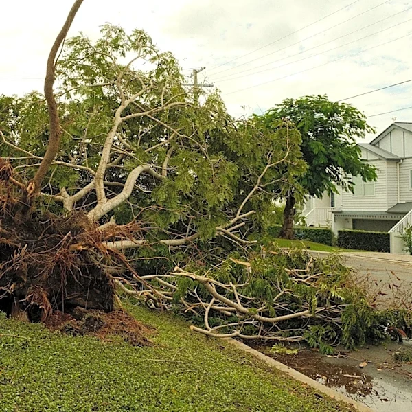 Severe Storms Cause Damage in Omaha and Papillion, Nebraska