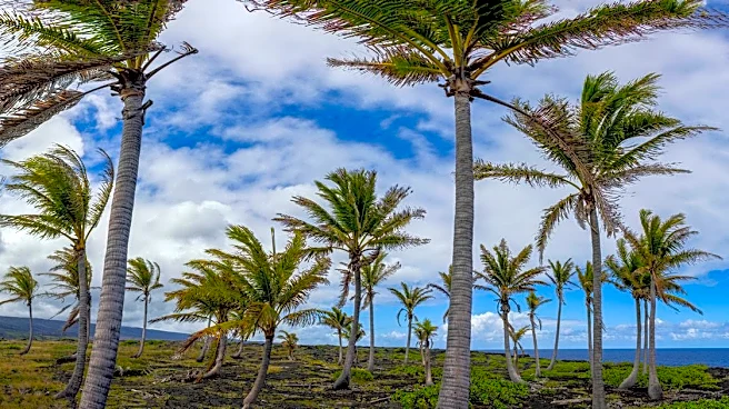 Wind Advisory Issued for Portions of Hawai‘i Island