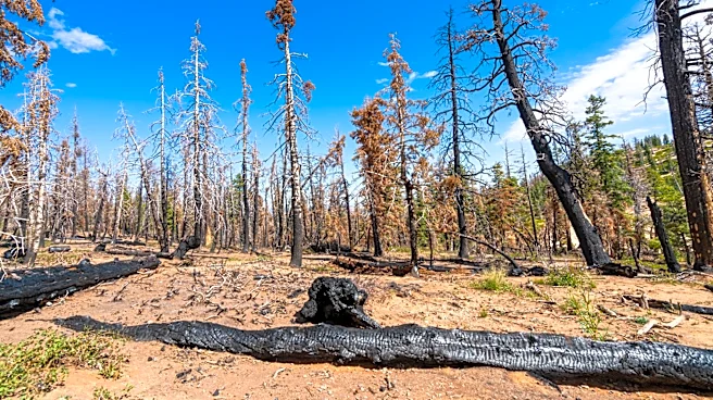 Johnson Canyon Fire Expands to 1,600 Acres, Structures Threatened Near Portage