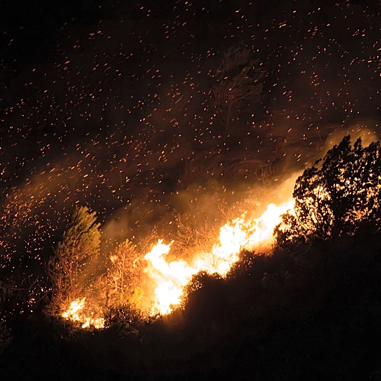 Washington Declared Under 'Particularly Dangerous Situation' for Wildfire Threats