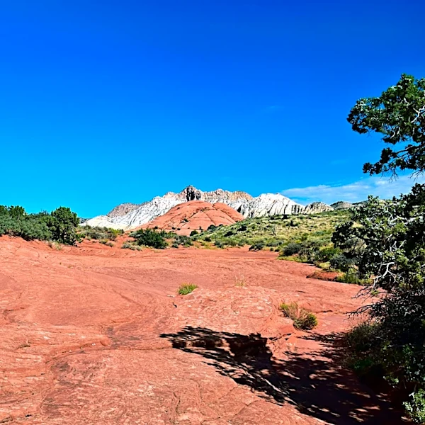 Warm and Breezy Conditions Persist Across Utah