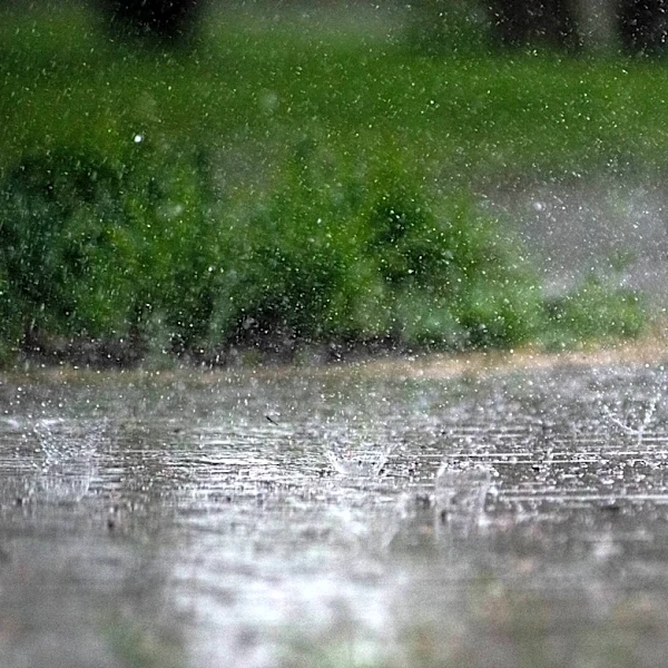 Afternoon Storms Expected in South Florida Amid High Heat and Humidity