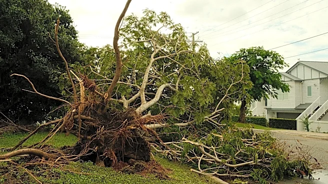 Severe Storm Recovery Efforts Underway in Fox Cities, Wisconsin