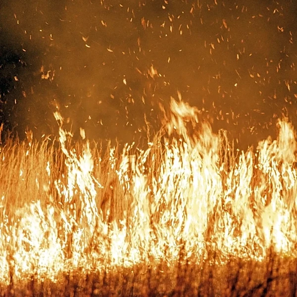 Wildfires Scorch Washington State, Prompting Evacuations and Power Outages