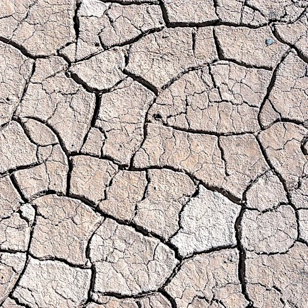 Understanding Droughts: Causes, Impacts, and Conservation Tips