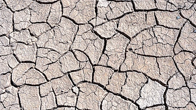 Understanding Droughts: Causes, Impacts, and Conservation Tips