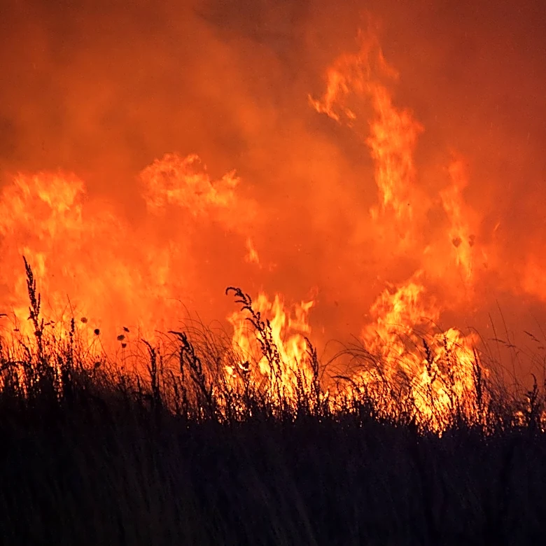 Extreme Heat Warnings Issued for Western U.S., Including Los Angeles and Las Vegas