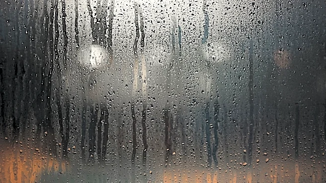 Cloudy and Muggy Night with Lingering Showers in Pittsburgh