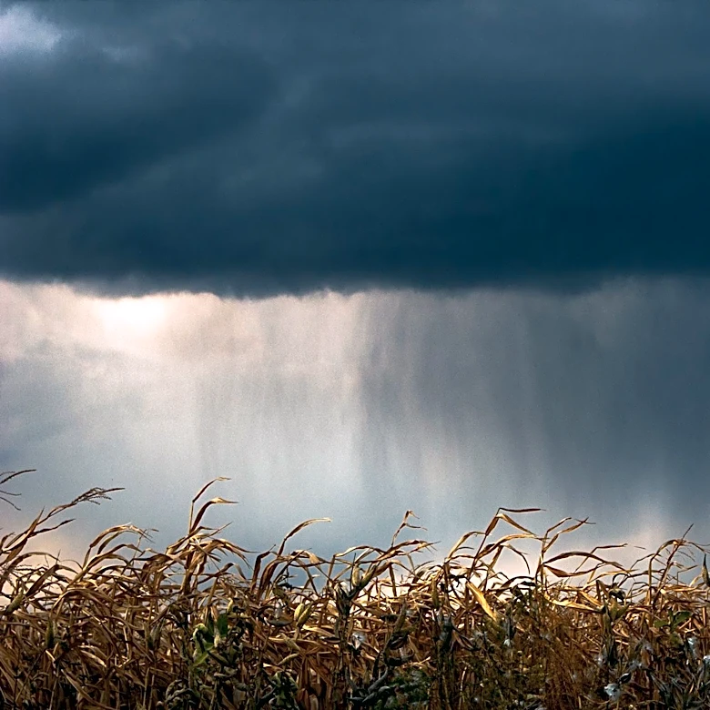 Thunderstorms and Heavy Rain Expected in Western Massachusetts