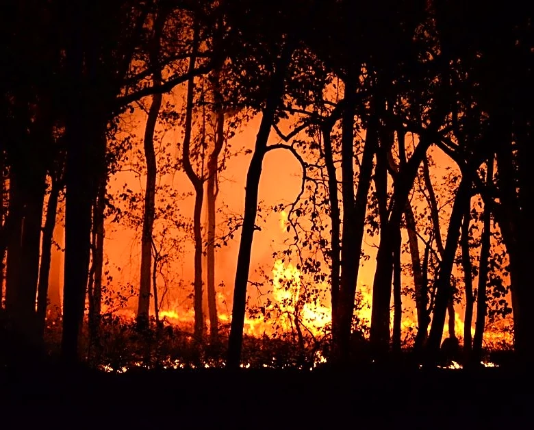 Spokane Wildfires Explode, 600+ Structures Lost in Crisis