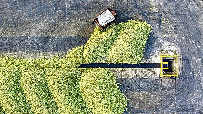 Weather Extremes Impact Corn Belt Crop Yields