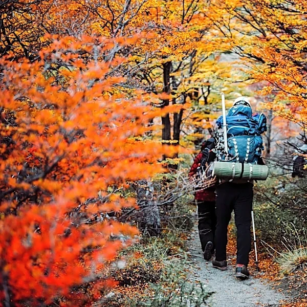 NOAA Predicts Warm Fall and Potentially 'Very Strong' El Niño Winter