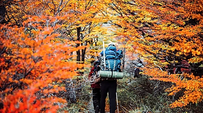 NOAA Predicts Warm Fall and Potentially 'Very Strong' El Niño Winter