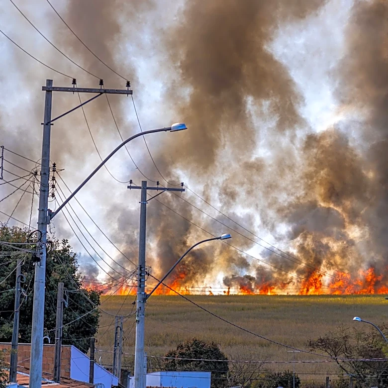 How Wildfire Smoke Impacts Pregnancy and Prenatal Health