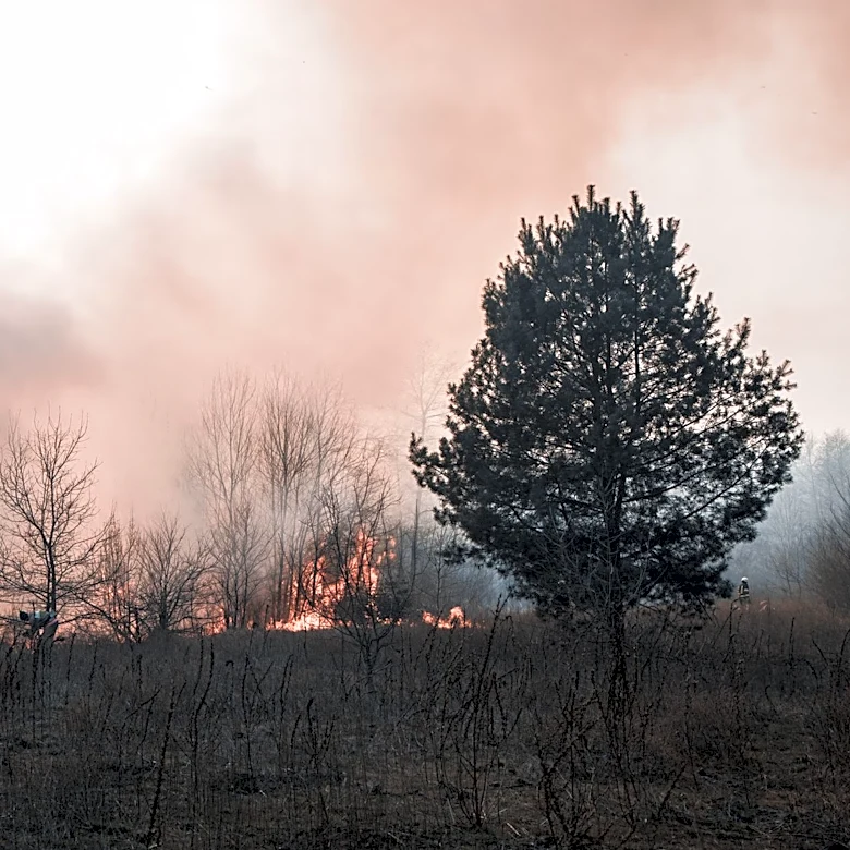 Heat Advisory and Red Flag Warning Issued for Willamette Valley Amid Elevated Fire Risks