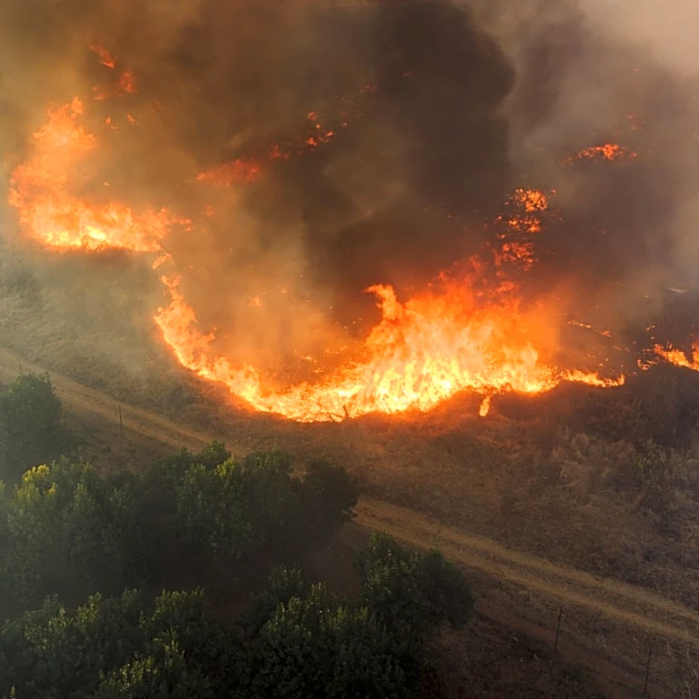 How to Stay Safe During Wildfire Season