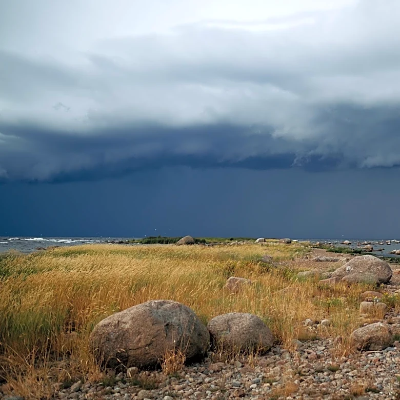 Understanding Cold Fronts: What They Are and How They Affect Weather