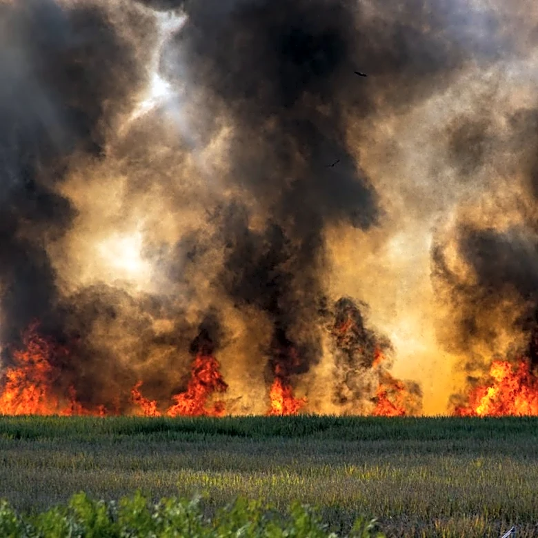 Urban Firestorm Devastates Spokane Amid Extreme Wildfire Conditions