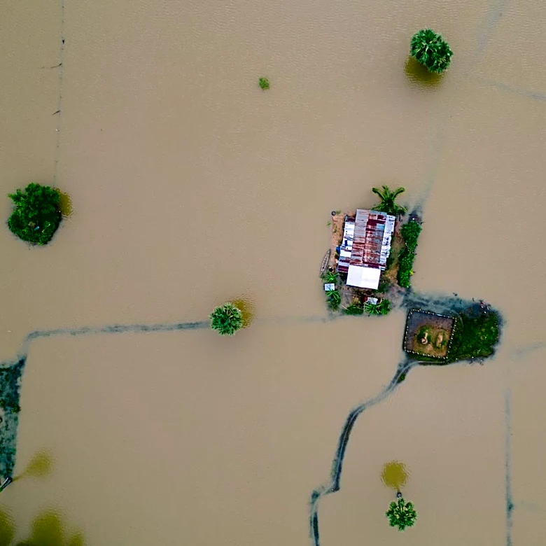 Tropical Storm Arthur Causes $112M in Agricultural Losses in Louisiana