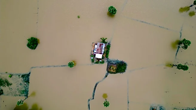 Tropical Storm Arthur Causes $112M in Agricultural Losses in Louisiana